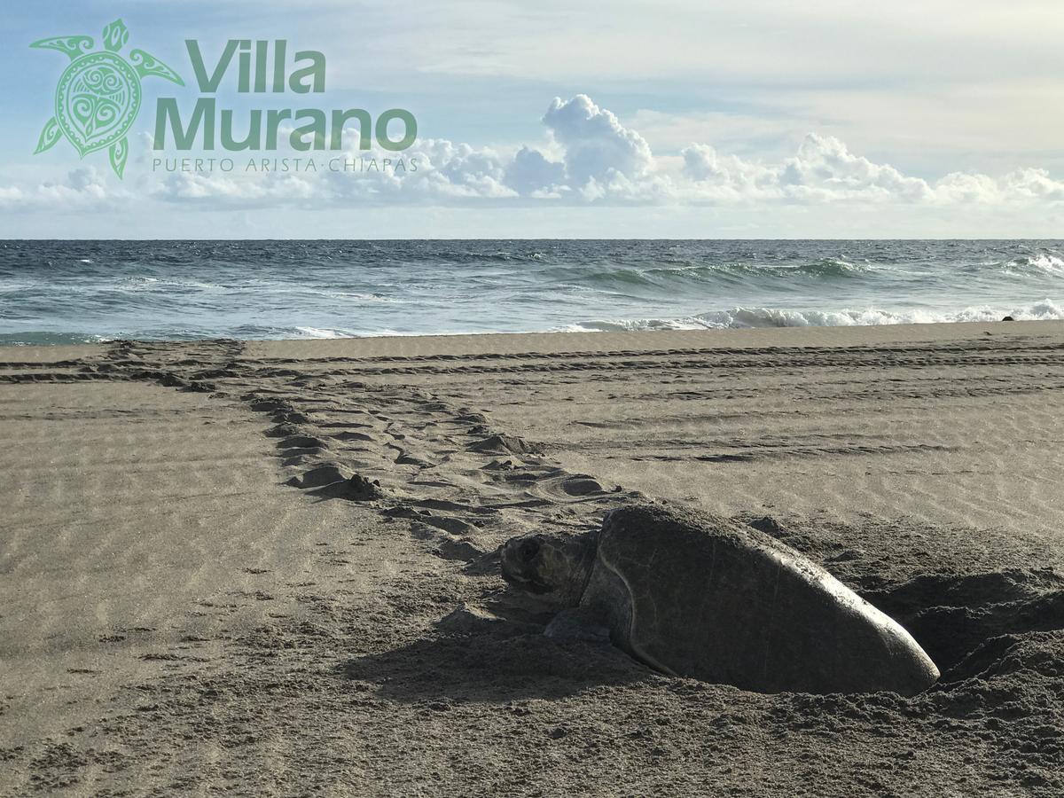 Hotel Villa Murano Пуерто Ариста Екстериор снимка